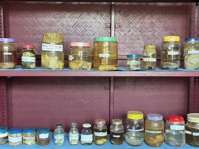 WhatsApp Image 2025-08-09 at 1.15.55 AM (1) (2)